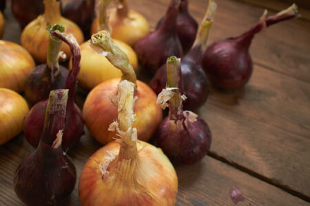 Keep Your Onion Sets Behind Bars Image